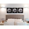 Arte moderno, Rosa Blanco y negro impresa decoración pared Cuadros Decorativos y artículos decoración venta online